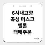 곡성 머스크 멜론