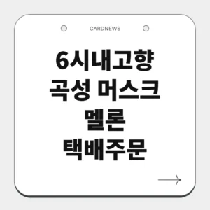 곡성 머스크 멜론