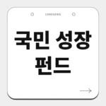국민 성장 펀드