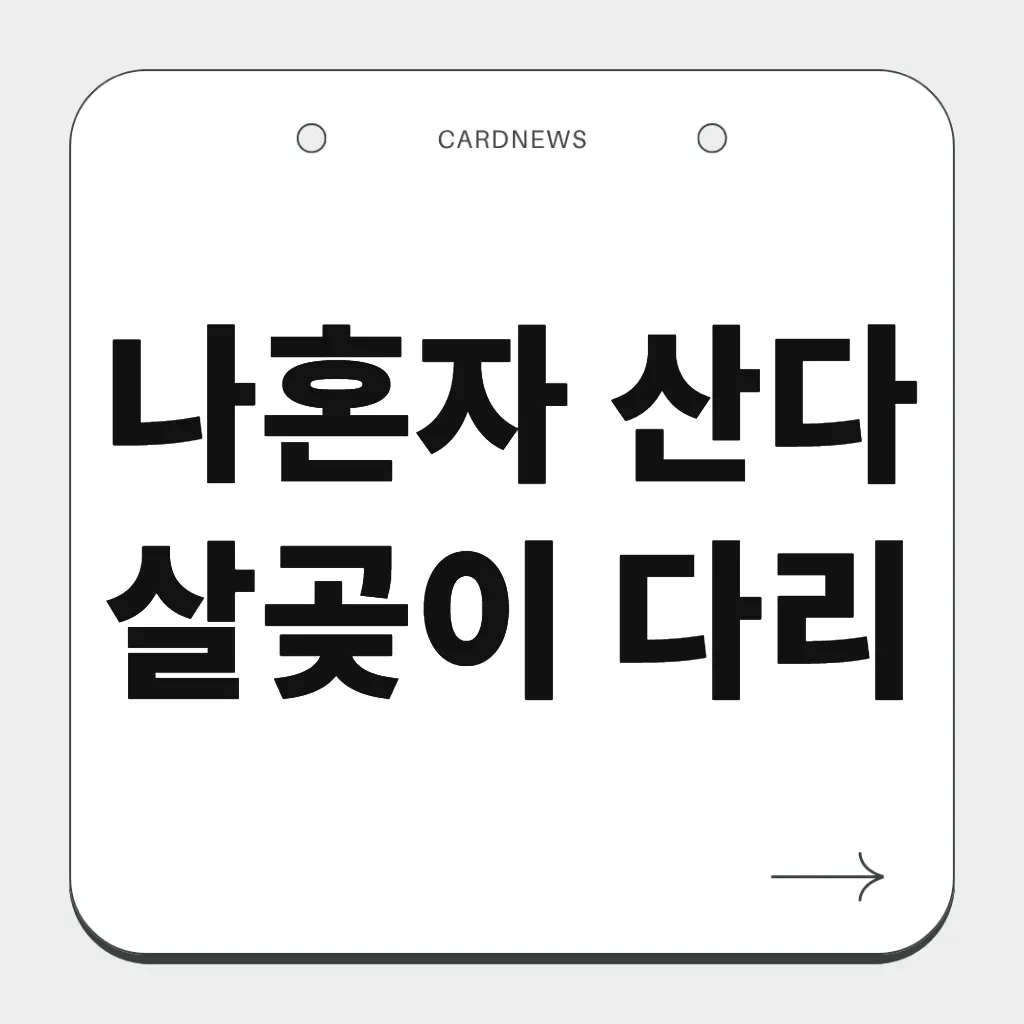 나혼자 산다 살곶이 다리