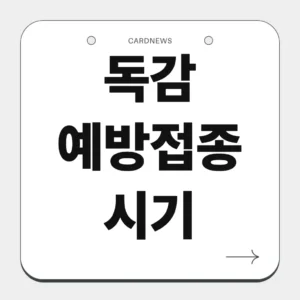 독감 예방접종 시기