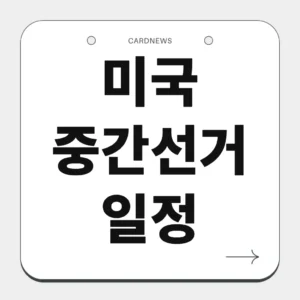 미국 중간선거 일정