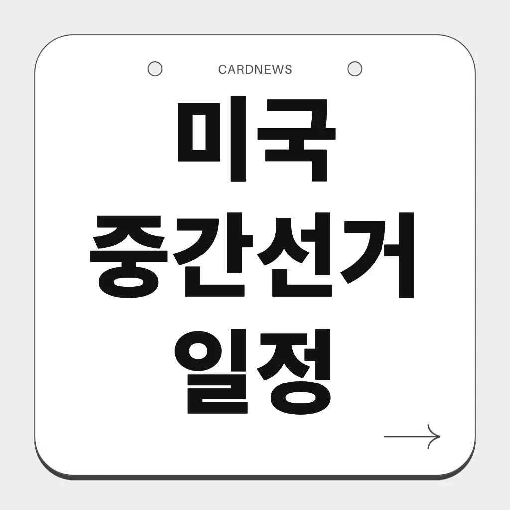 미국 중간선거 일정