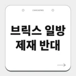 브릭스 일방 제재 반대