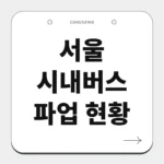 서울 시내버스 파업 현황