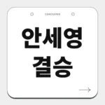 안세영 결승