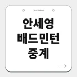 안세영 배드민턴 중계