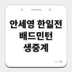 안세영 한일전 배드민턴 생중계