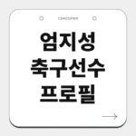 엄지성 축구선수 프로필