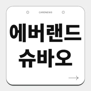 에버랜드 슈바오