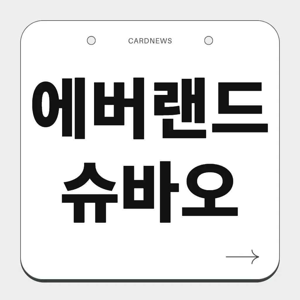 에버랜드 슈바오