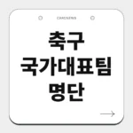 축구 국가대표팀 명단