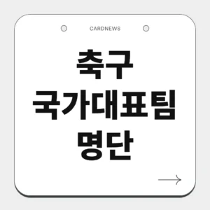 축구 국가대표팀 명단