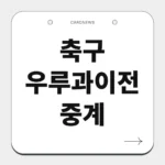 축구 우루과이전 중계