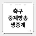 축구 중계방송 생중계