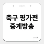 축구 평가전 중계방송