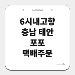 충남 태안 포포