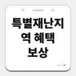 특별재난지역 혜택 보상