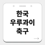 한국 우루과이 축구