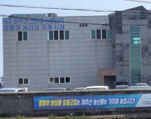 6시내고향 서귀포 성산 골드키위 감황 택배 주문 성산일출봉농협 위치 및 구매 안내