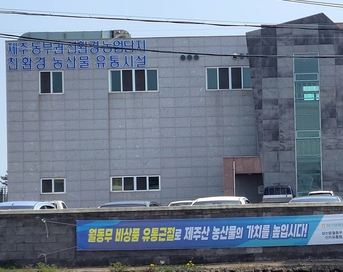 6시내고향 서귀포 성산 골드키위 감황 택배 주문 성산일출봉농협 위치 및 구매 안내
