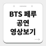 BTS 페루 공연 영상보기