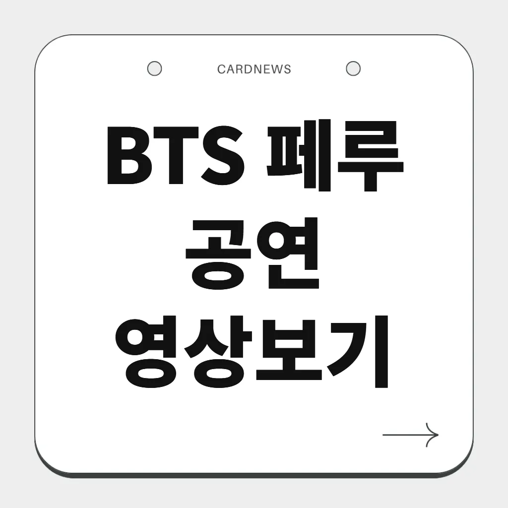 BTS 페루 공연 영상보기