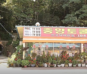 6시내고향 충남 홍성 토굴새우젓 중앙토굴새우젓 위치 택배 주문 연락처 총정리
