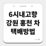 강원 홍천 차