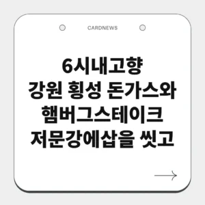 강원 횡성 돈가스와 햄버그스테이크