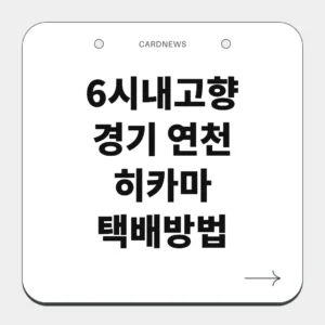 경기 연천 히카마