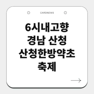 경남 산청 산청한방약초축제