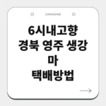 경북 영주 생강 마