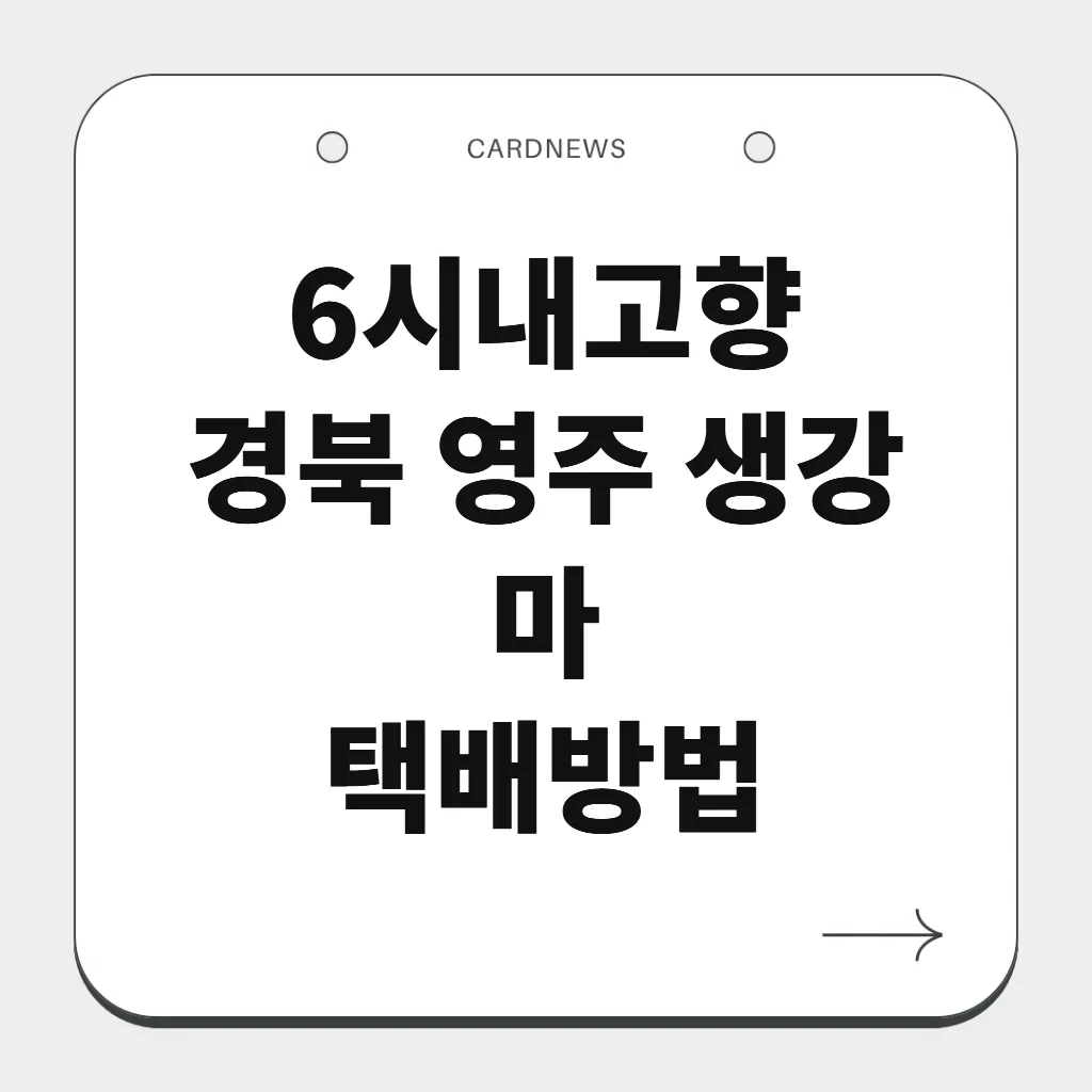 경북 영주 생강 마
