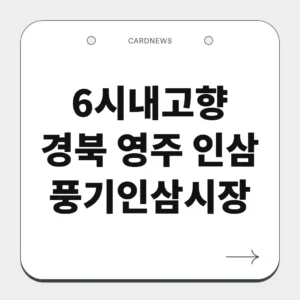 경북 영주 인삼