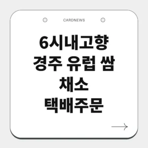 경주 유럽 쌈 채소