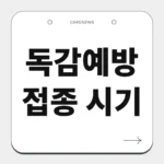 독감예방접종 시기