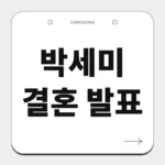 박세미 결혼 발표