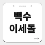 백수 이세돌