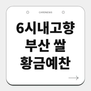 부산 쌀 황금예찬
