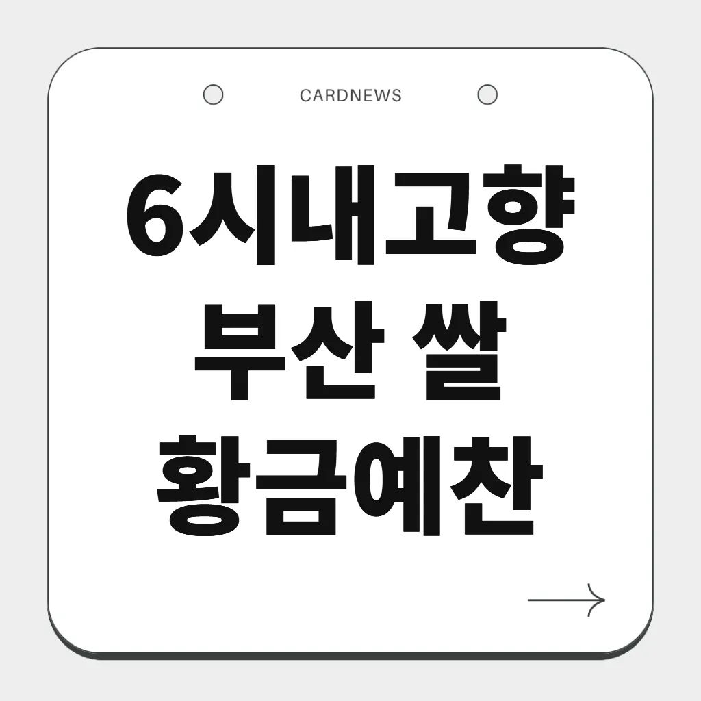 부산 쌀 황금예찬
