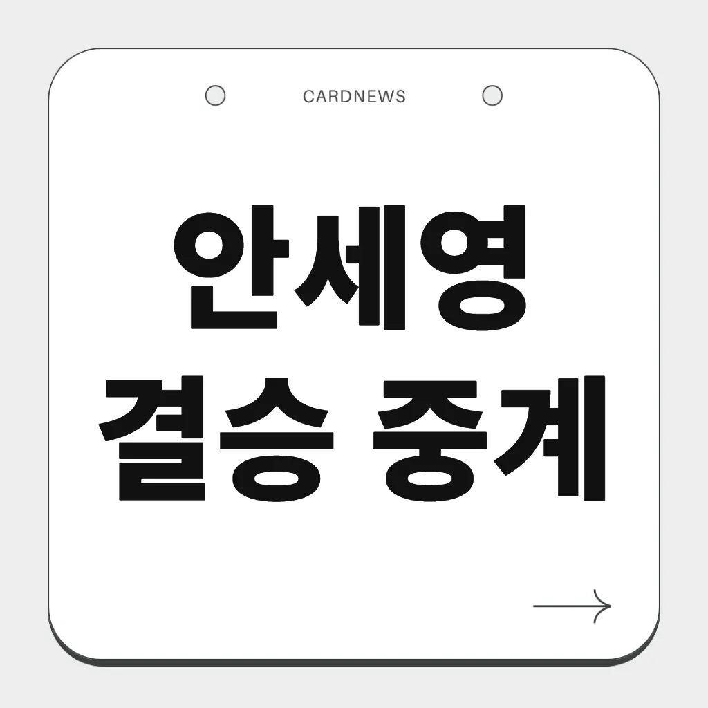 안세영 결승 중계