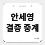 안세영 결승 중계