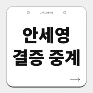 안세영 결승 중계