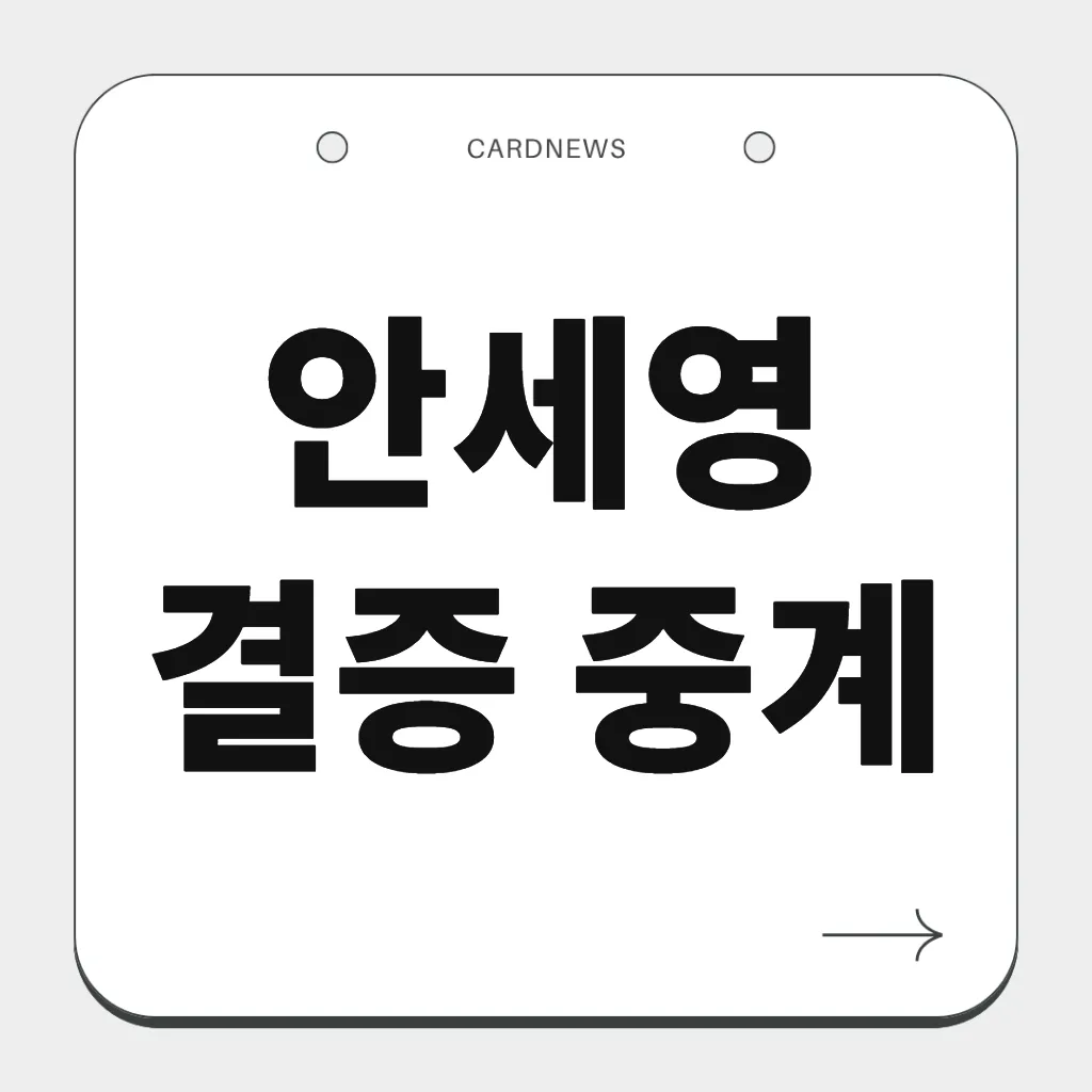 안세영 결승 중계