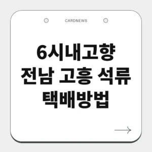전남 고흥 석류
