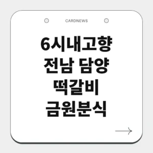 전남 담양 떡갈비