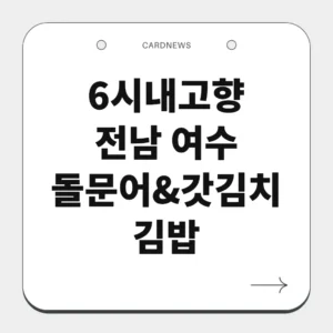 전남 여수 돌문어 갓김치김밥
