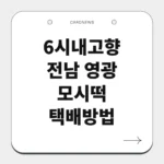 전남 영광 모시떡