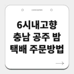 충남 공주 밤